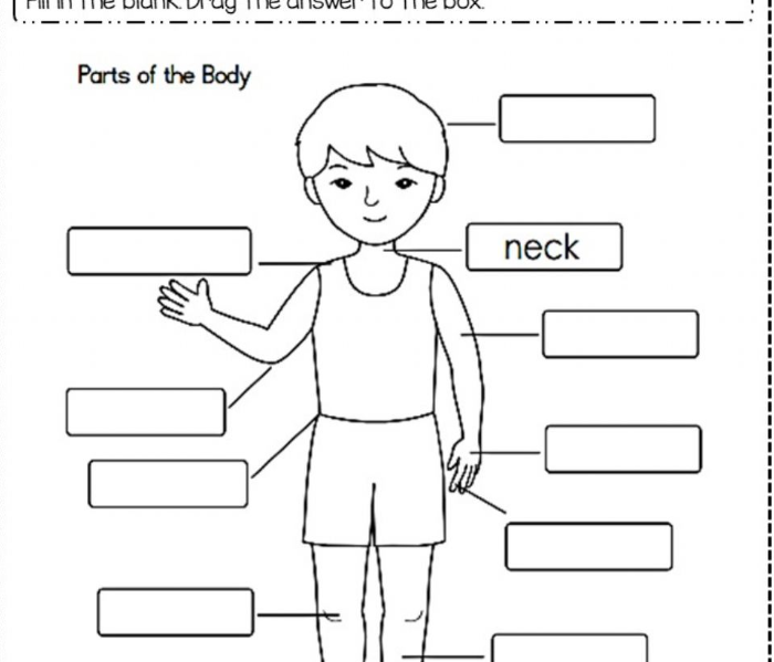 Image of 
<span>A1.2: My body</span>
