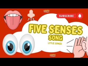 Embedded thumbnail for Five Senses Song