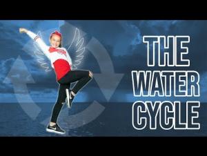 Embedded thumbnail for The Water Cycle