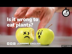 Embedded thumbnail for Is it wrong to eat plants?