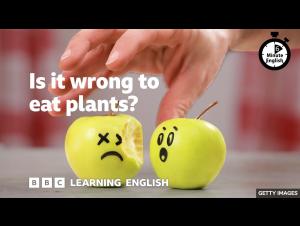 Embedded thumbnail for Is it wrong to eat plants?