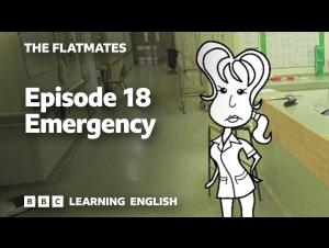 Embedded thumbnail for The Flatmates, episode 18