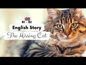 Embedded thumbnail for The Missing Cat
