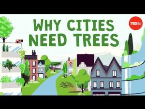 Embedded thumbnail for What happens if you cut down all of a city&#039;s trees? 